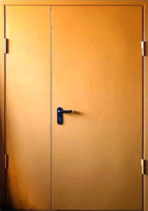 Противопожарная дверь Celsium-90-9 (Противопожарная нитроэмаль) - внешняя сторона